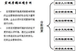 最新市場(chǎng)營銷案例解析，創(chuàng)新策略與成功之路探索