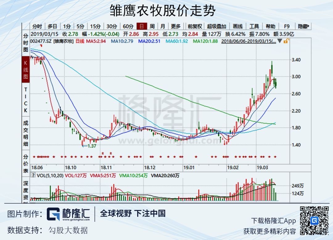 雛鷹農(nóng)牧股票最新動態(tài)全面解析