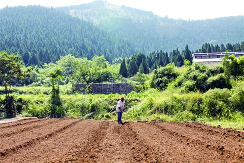 農(nóng)村荒山承包新政策，推動綠色發(fā)展的強大動力源泉