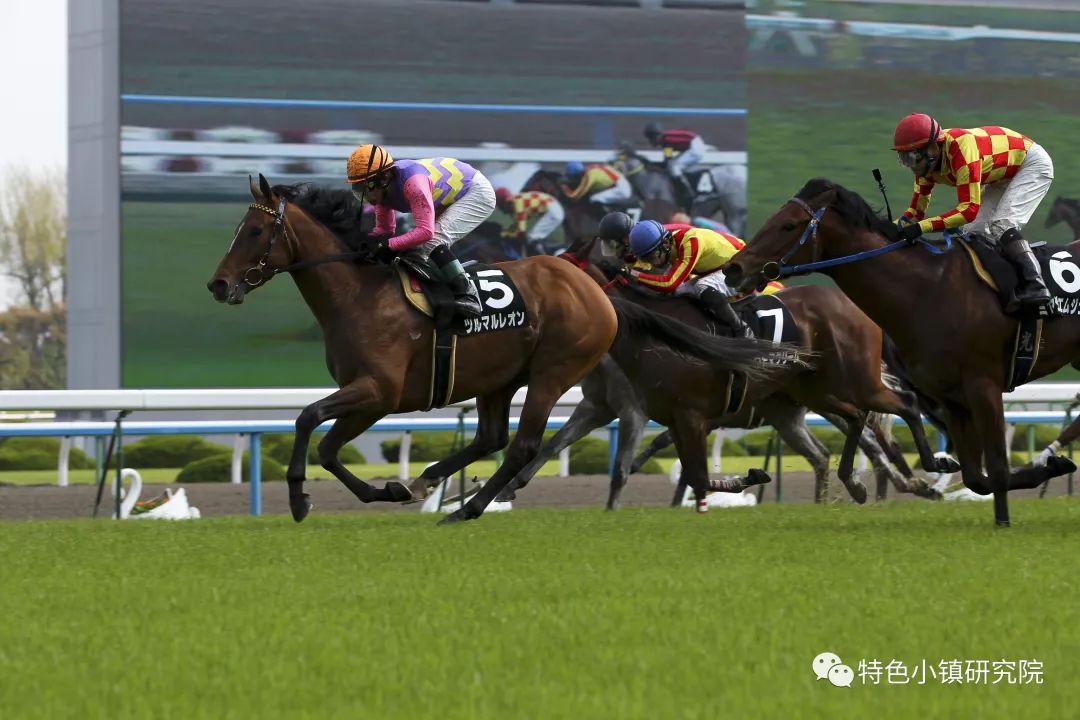 2024今晚澳門特馬開什么碼,澳門賽馬的歷史可以追溯到19世紀(jì)末