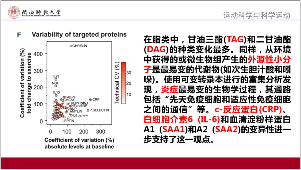 2024新奧正版資料免費提供,效率資料解釋落實_SHD55.205