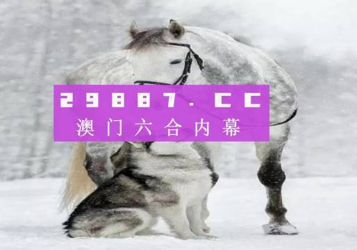 777778888精準(zhǔn)跑狗,廣泛的解釋落實方法分析_試用版29.558