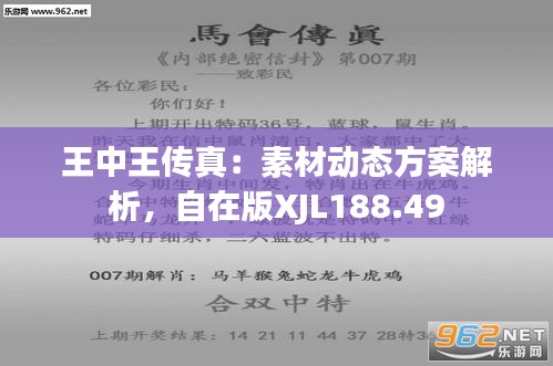 7777788888王中王厷機,全局性策略實施協(xié)調(diào)_尊享版65.994