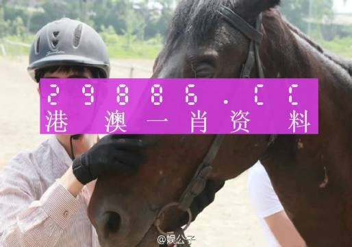 澳門一肖一碼一必中一肖同舟前進(jìn),平衡指導(dǎo)策略_Premium82.700