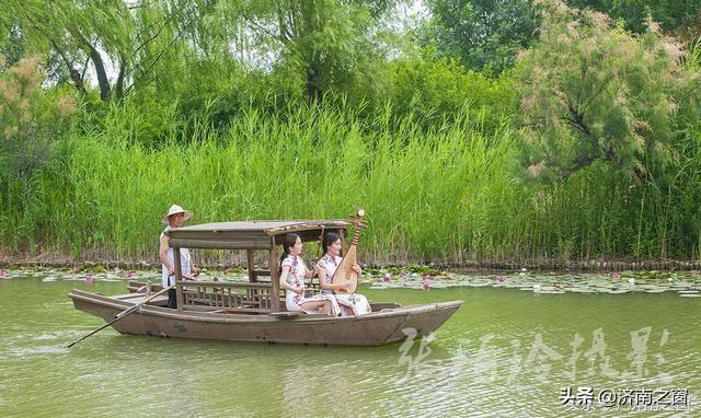 濟西濕地公園最新動態(tài)，生態(tài)建設(shè)的綠色進展